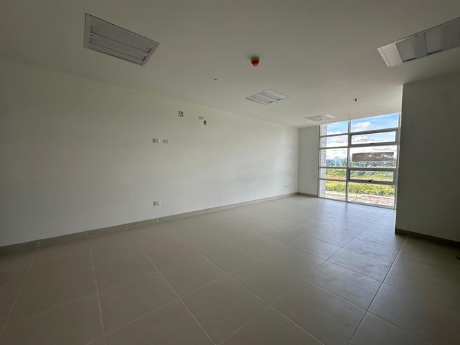 Consultorio en arriendo en Avenida 30 De Agosto, Pereira, 44 m² · foto 3 de 5