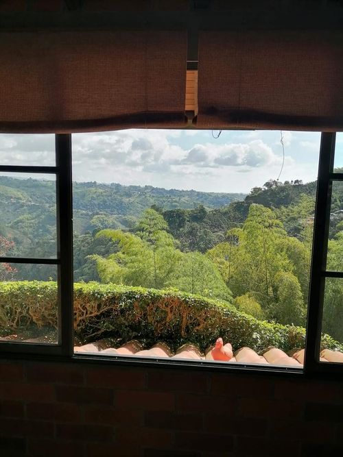 Finca en venta en La Bella, Pereira, 42000 m² · foto 5 de 16