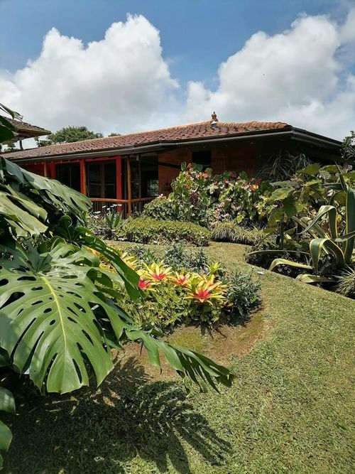 Finca en venta en La Bella, Pereira, 42000 m² · foto 9 de 16