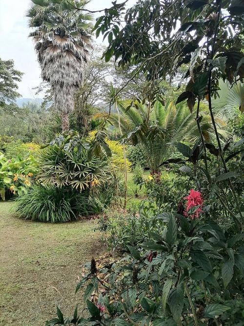 Finca en venta en La Bella, Pereira, 42000 m² · foto 10 de 16