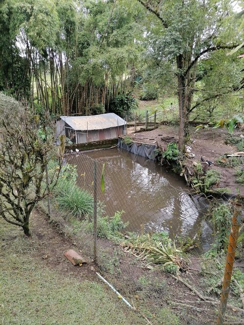 Finca en venta en La Bella, Pereira, 42000 m² · foto 13 de 16