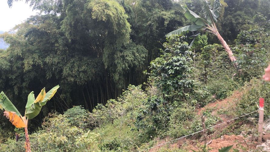 Lote en venta en El Rodeo, Dosquebradas, 200 m² · foto 2 de 10