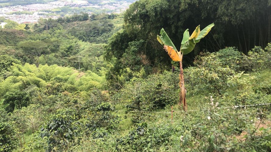 Lote en venta en El Rodeo, Dosquebradas, 200 m² · foto 4 de 10