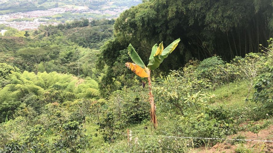 Lote en venta en El Rodeo, Dosquebradas, 200 m² · foto 6 de 10