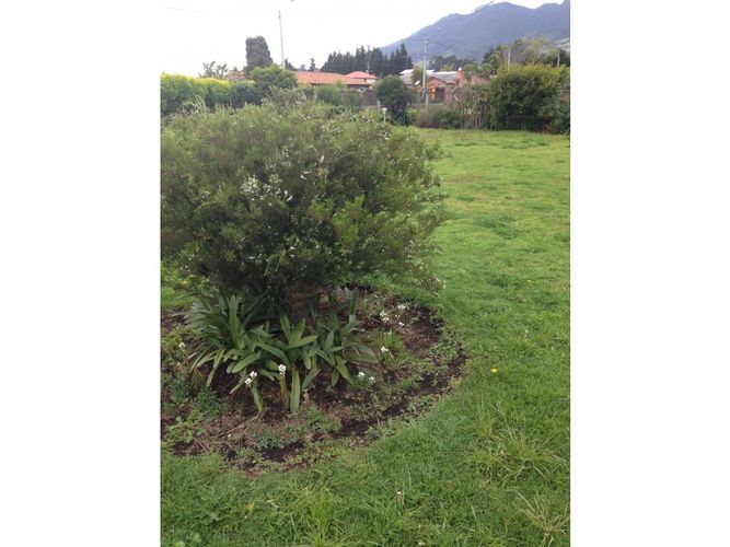 Lote en venta en Flandes, La Calera, 20334 m² · foto 4 de 5