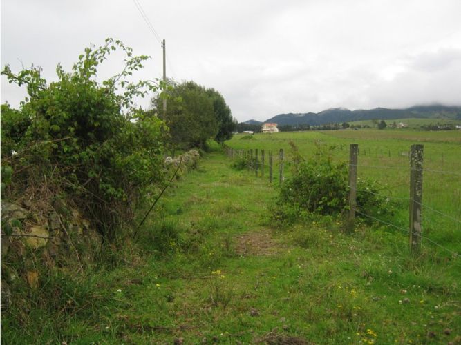 Lote en venta en Flandes, La Calera, 20334 m² · foto 5 de 5