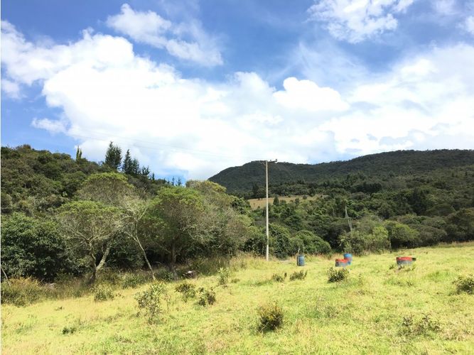 Lote en venta en Yerbabuena, Chía, 11855 m² · foto 2 de 24
