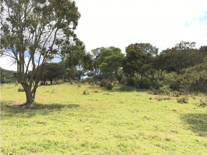 Lote en venta en Yerbabuena, Chía, 11855 m² · foto 3 de 24
