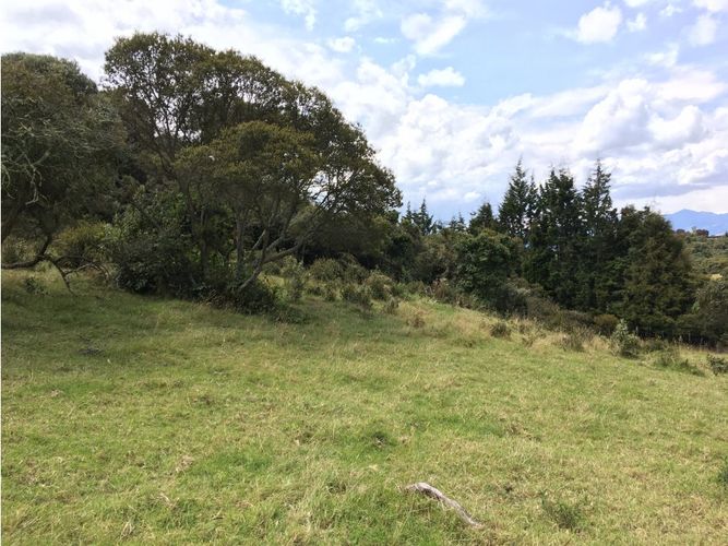 Lote en venta en Yerbabuena, Chía, 11855 m² · foto 5 de 24