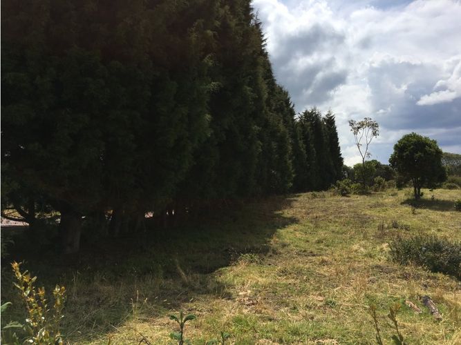 Lote en venta en Yerbabuena, Chía, 11855 m² · foto 10 de 24