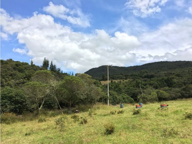 Lote en venta en Yerbabuena, Chía, 11855 m² · foto 12 de 24