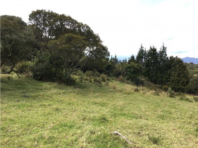 Lote en venta en Yerbabuena, Chía, 11855 m² · foto 16 de 24