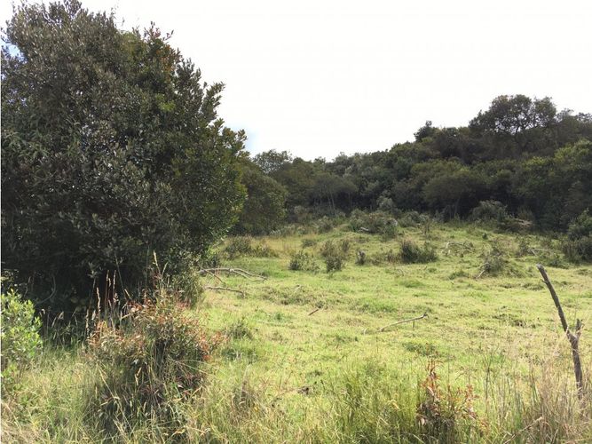 Lote en venta en Yerbabuena, Chía, 11855 m² · foto 22 de 24