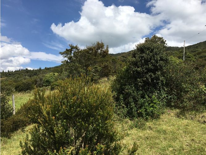 Lote en venta en Yerbabuena, Chía, 11855 m² · foto 24 de 24