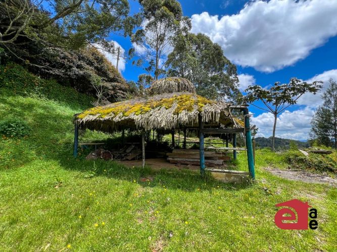 Finca en arriendo en Loma Del Escobero, Envigado, 11500 m² · foto 21 de 24