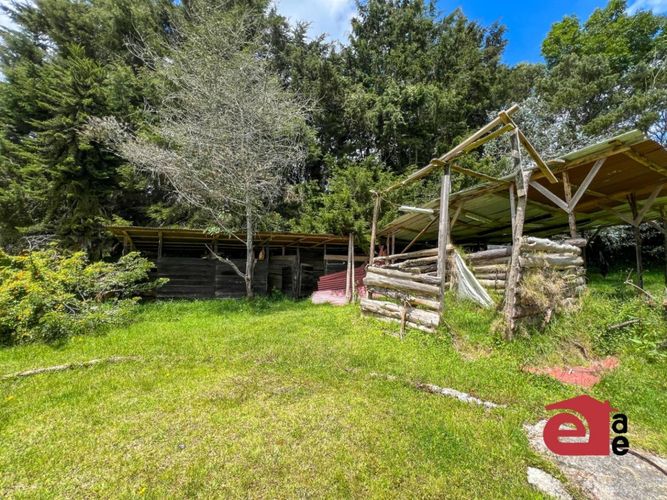 Finca en arriendo en Loma Del Escobero, Envigado, 11500 m² · foto 22 de 24