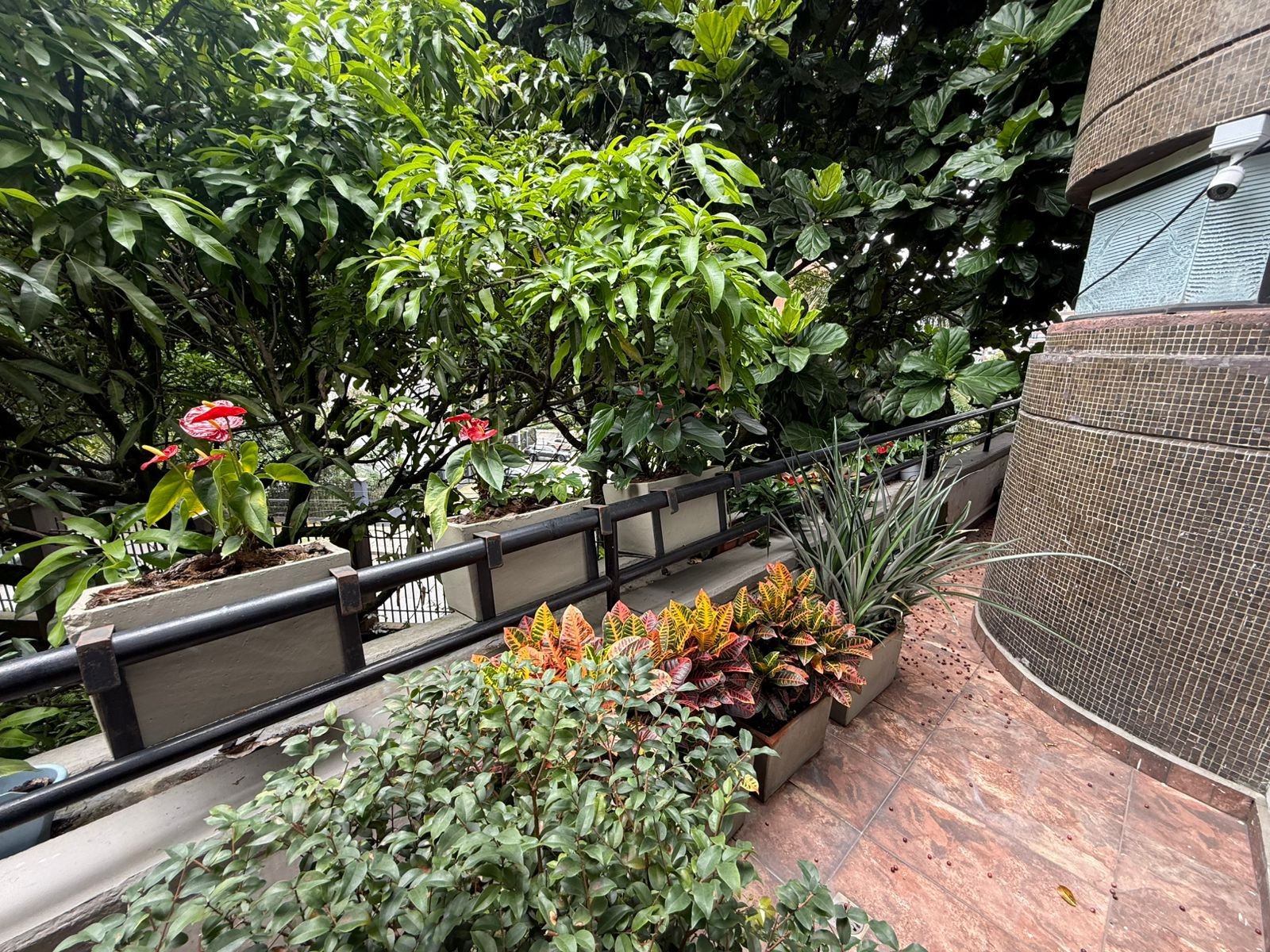 Apartamento en arriendo en Los Balsos, Medellín · foto 19 de 24