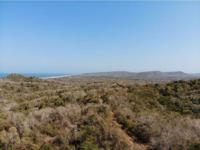 Lote en venta en Cartagena De Indias, Cartagena · foto 2 de 11
