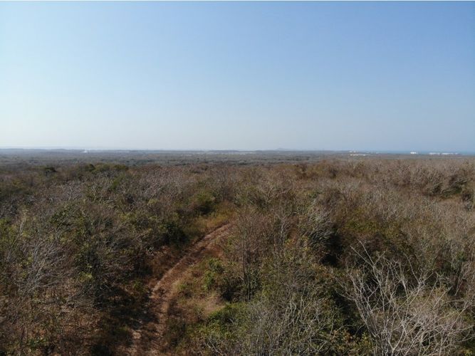 Lote en venta en Cartagena De Indias, Cartagena · foto 9 de 11