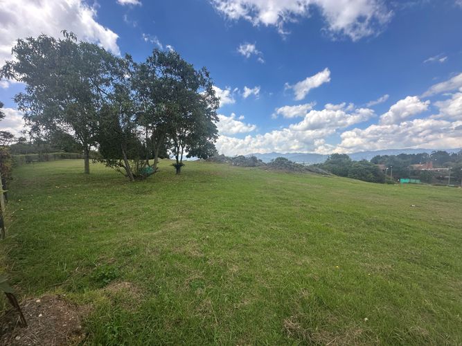 Lote en venta en Sindamanoy, Chía, 10000 m² · foto 3 de 19