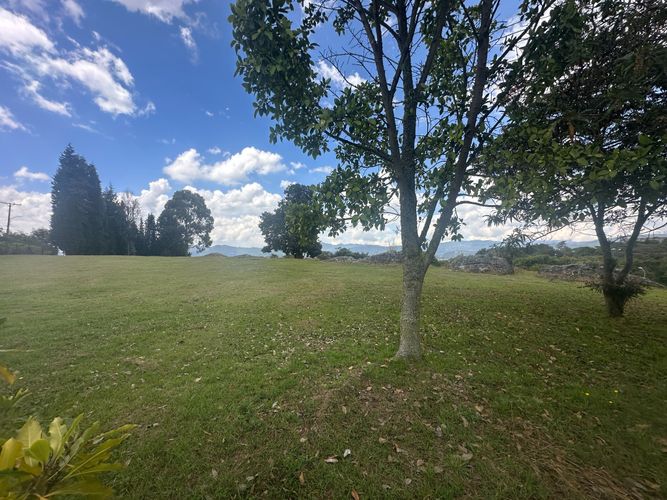 Lote en venta en Sindamanoy, Chía, 10000 m² · foto 12 de 19