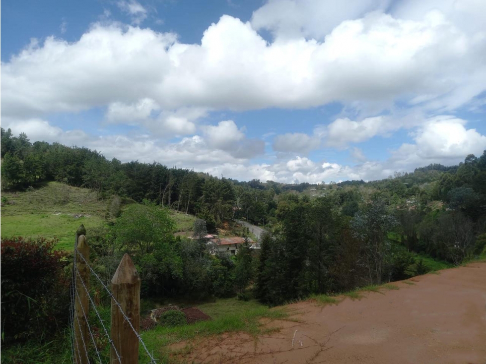 Land in Lejos del nido (5000 m²) for Sale - 2