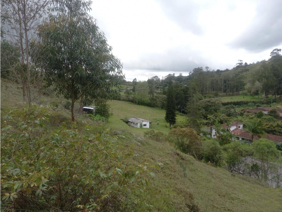 Land in Lejos del nido (5000 m²) for Sale - 4