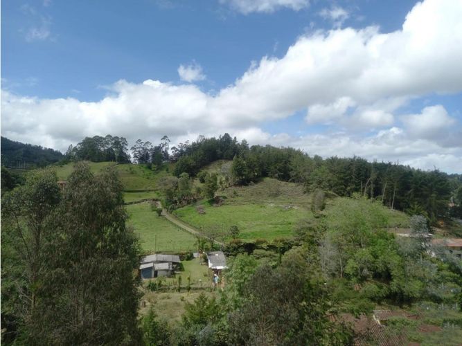 Lote en venta en Lejos Del Nido, El Retiro, 5000 m² · foto 5 de 8