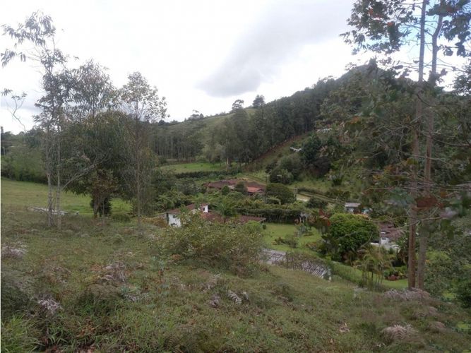 Lote en venta en Lejos Del Nido, El Retiro, 5000 m² · foto 6 de 8