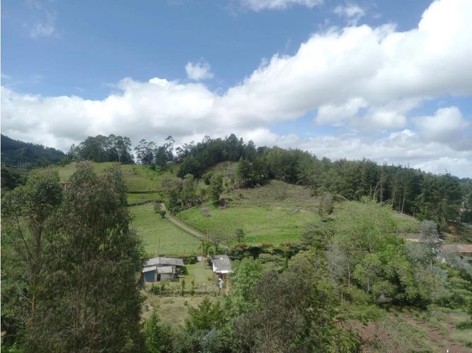 Lote en venta en Lejos Del Nido, El Retiro, 5000 m² · foto 8 de 8