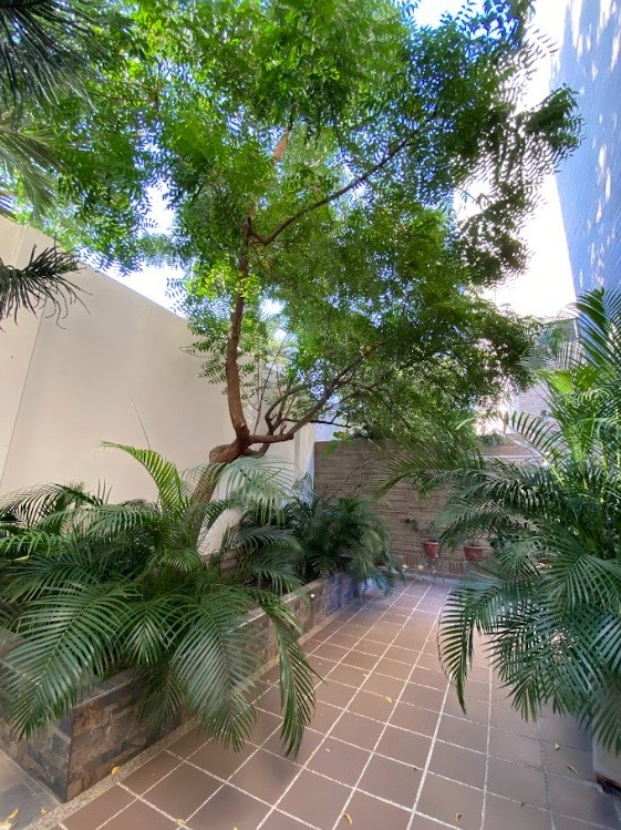 Apartamento en venta en Villa Campestre, Barranquilla · foto 19 de 24