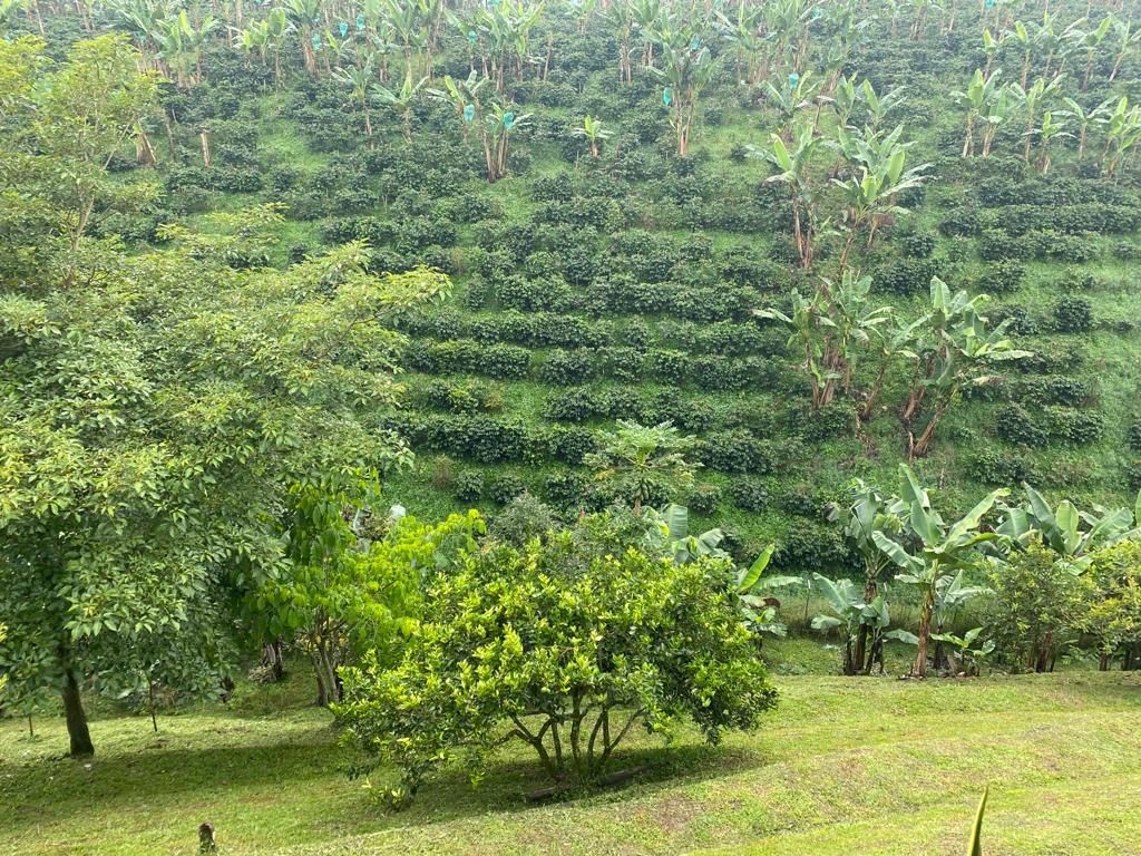 Casa en venta en Combia, Pereira · foto 7 de 17
