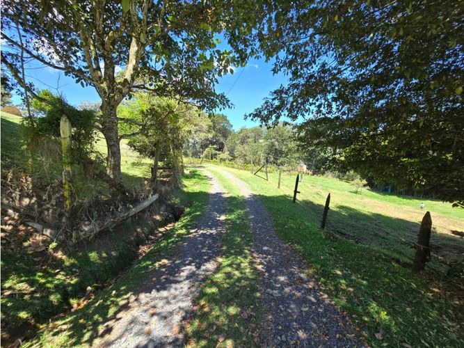 Finca en venta en Pontezuela, La Ceja, 209 m² · foto 12 de 24