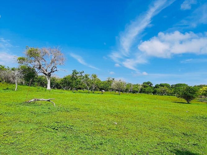 Lote en venta en Barú, Cartagena, 53000 m² · foto 16 de 19
