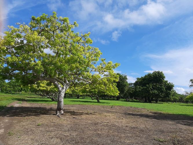 Lote en venta en Barú, Cartagena, 53000 m² · foto 15 de 19
