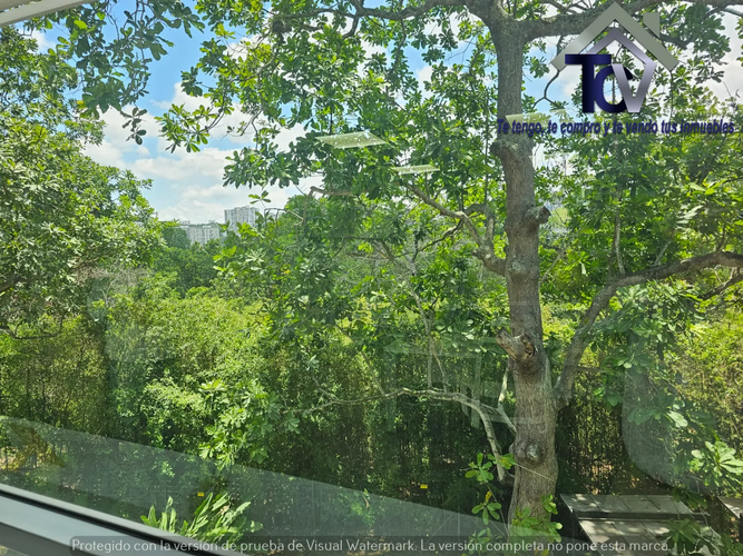 Oficina en arriendo en Anillo Vial, Floridablanca, 290 m² · foto 20 de 20
