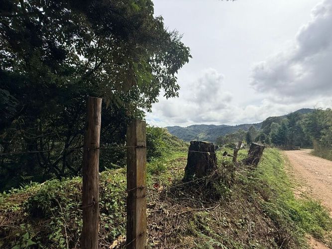 Lote en venta en Pantanillo, El Retiro, 28000 m² · foto 2 de 11