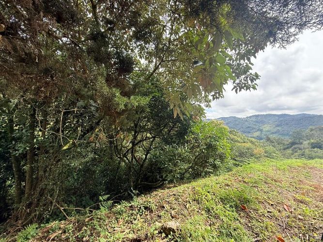 Lote en venta en Pantanillo, El Retiro, 28000 m² · foto 4 de 11