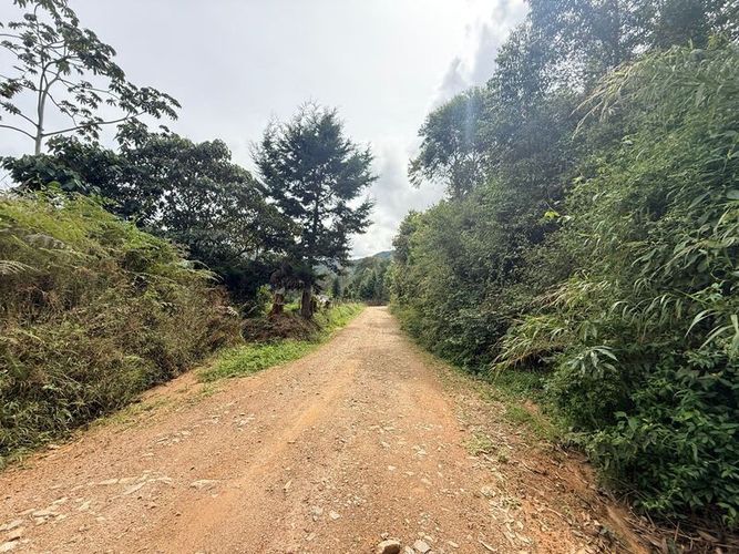 Lote en venta en Pantanillo, El Retiro, 28000 m² · foto 6 de 11