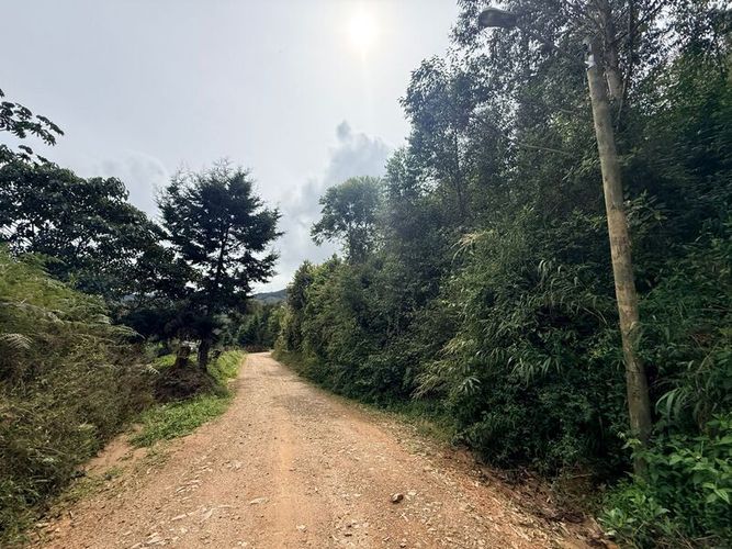Lote en venta en Pantanillo, El Retiro, 28000 m² · foto 7 de 11