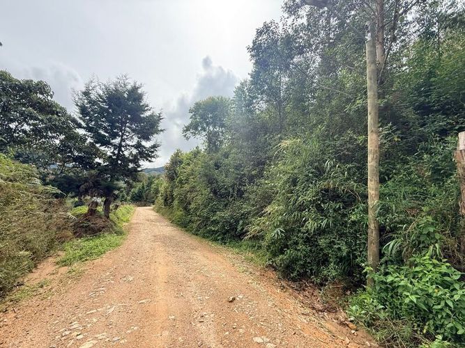 Lote en venta en Pantanillo, El Retiro, 28000 m² · foto 8 de 11