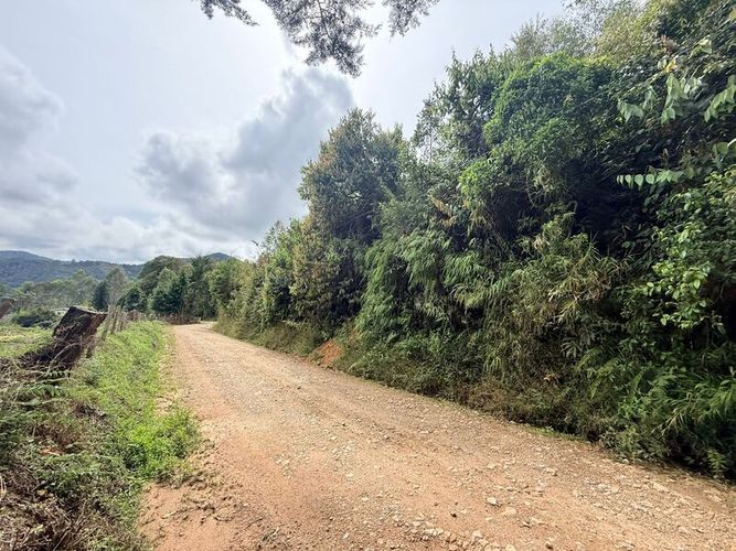 Lote en venta en Pantanillo, El Retiro, 28000 m² · foto 9 de 11