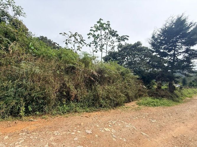 Lote en venta en Pantanillo, El Retiro, 28000 m² · foto 10 de 11