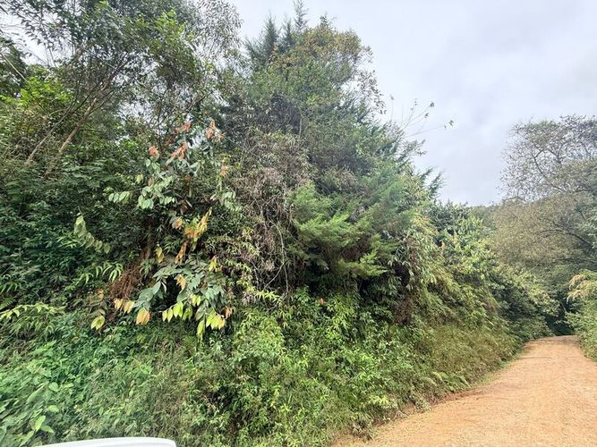 Lote en venta en Pantanillo, El Retiro, 28000 m² · foto 11 de 11