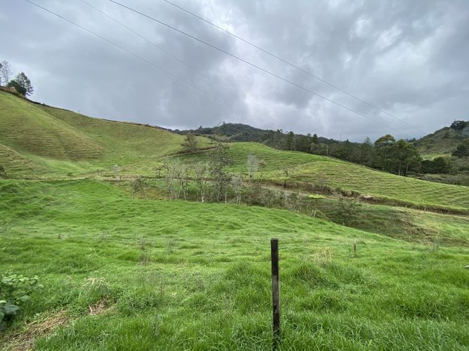 Lote en venta en El Tambo, La Ceja, 400 m² · foto 3 de 16