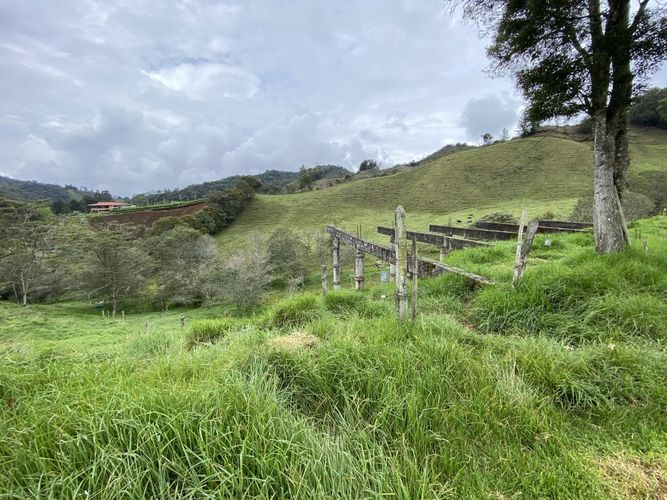 Lote en venta en El Tambo, La Ceja, 400 m² · foto 5 de 16