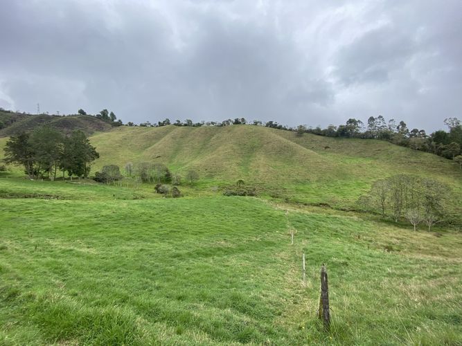 Lote en venta en El Tambo, La Ceja, 400 m² · foto 8 de 16