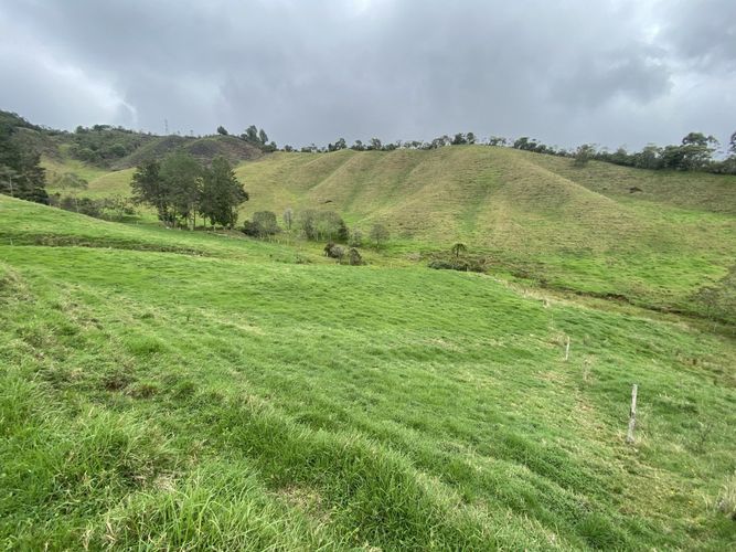 Lote en venta en El Tambo, La Ceja, 400 m² · foto 9 de 16