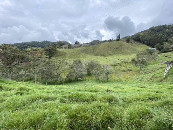 Lote en venta en El Tambo, La Ceja, 400 m² · foto 12 de 16