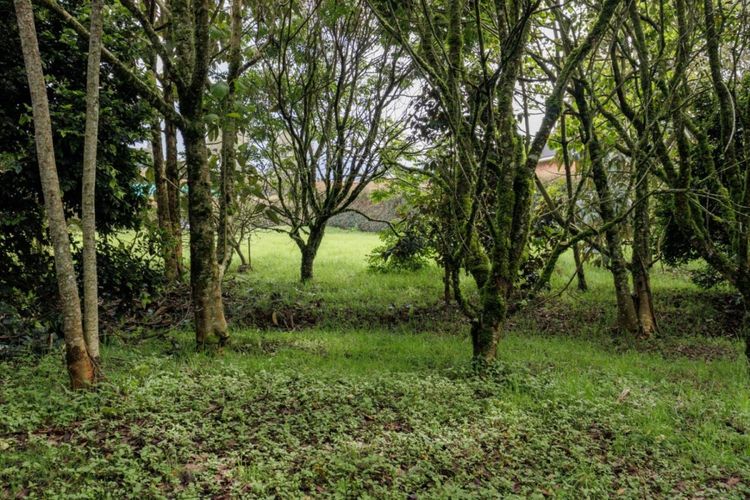 Lote en venta en Las Palmas, Envigado, 2108 m² · foto 5 de 22